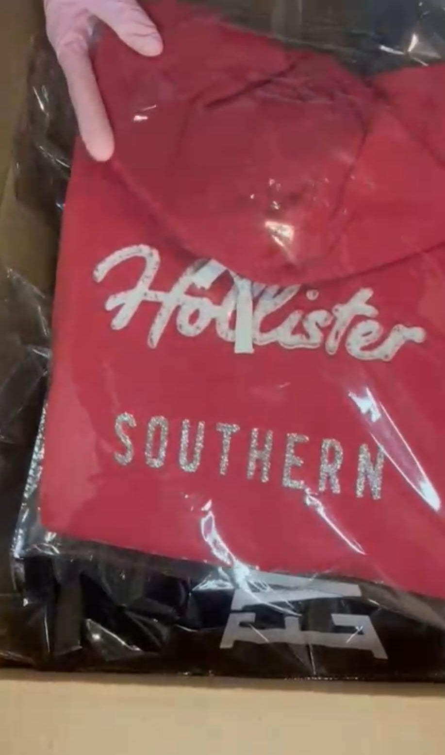 Felpa Hollister Rigenerata – Stile Casual e Sostenibile